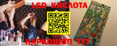 гашик Кунгур