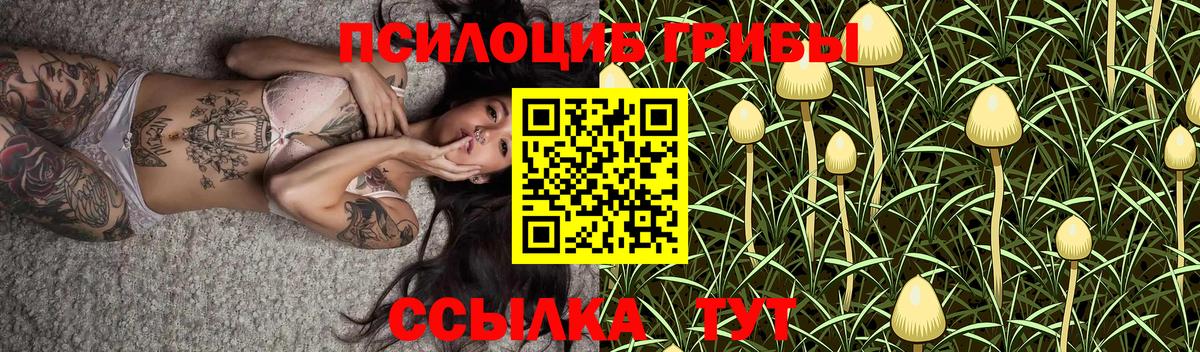 Псилоцибиновые грибы Magic Shrooms  Вход с VPN  Губаха  Галлюциногенные грибы Psilocybine cubensis 