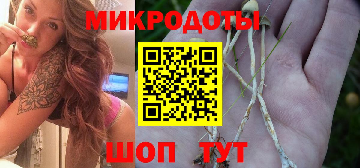 Псилоцибиновые грибы Psilocybine cubensis Губаха